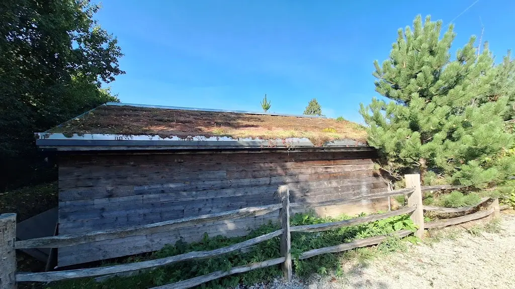 Fred Gogle_The Potting Shed_Headcorn_review