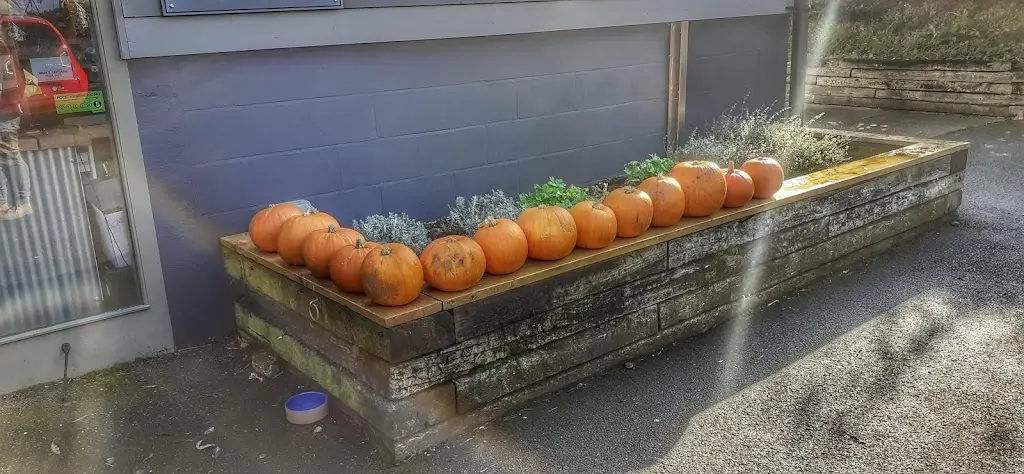 Menu_The Mill Kitchen_Heacham_image_8