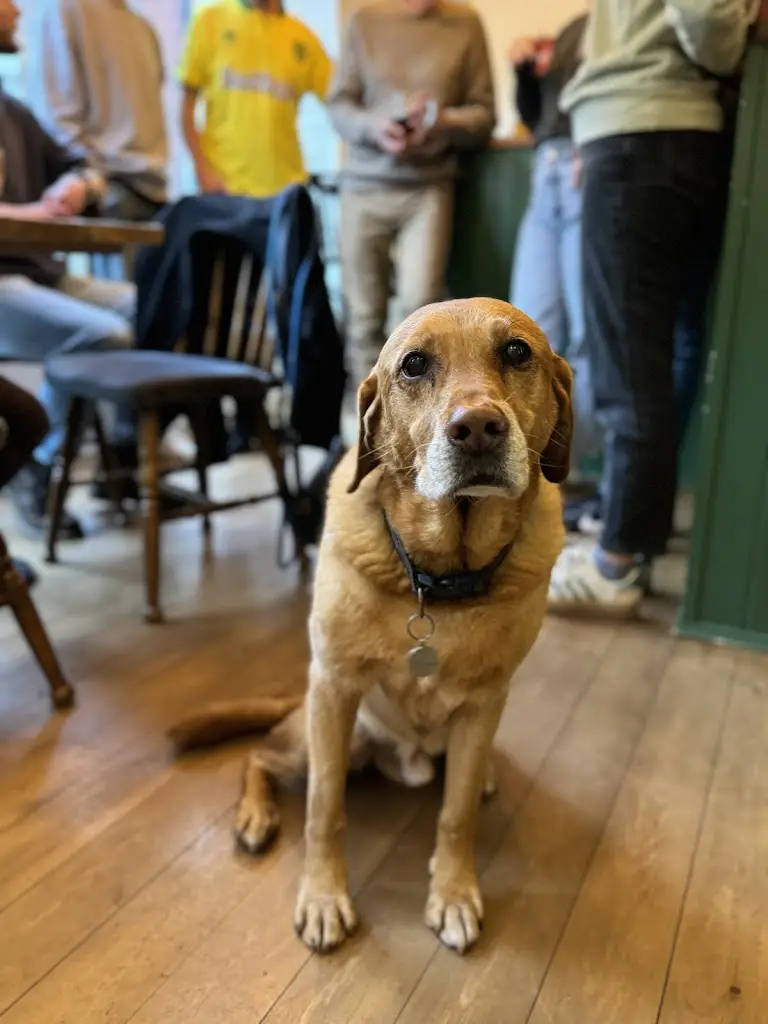 Daisy Woodward-Smith_The Porters Arms_Aylsham_review