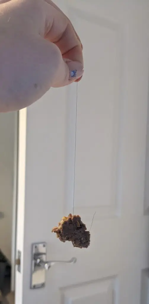 Imogen Grey_Burger Wurger_Heanor_review