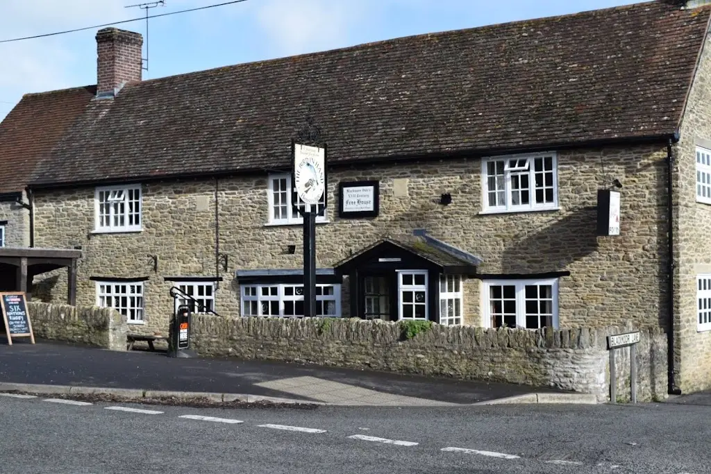 Trevor McComish_Bird In Hand_Henstridge_review