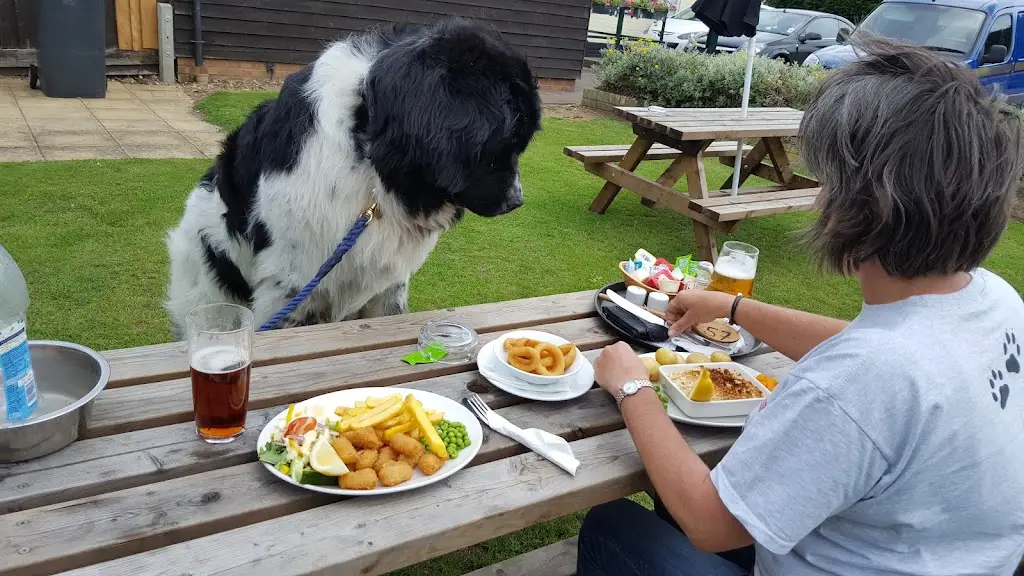 Menu_The Five Bells_Henlow_image_6