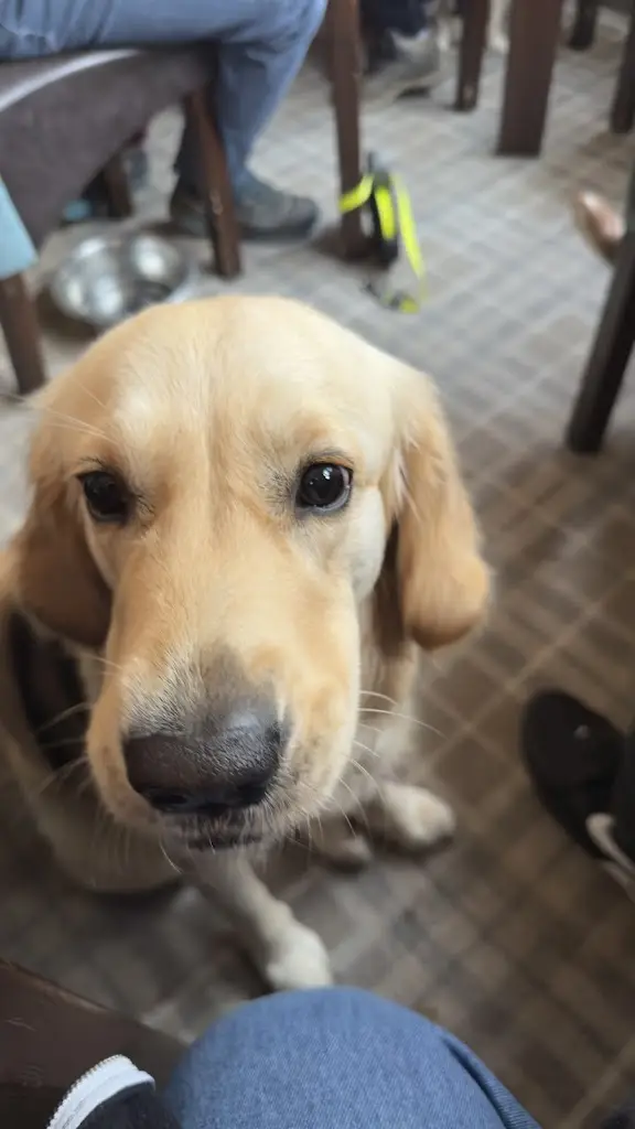 Simon Bradford_The Engineers Arms_Henlow_review