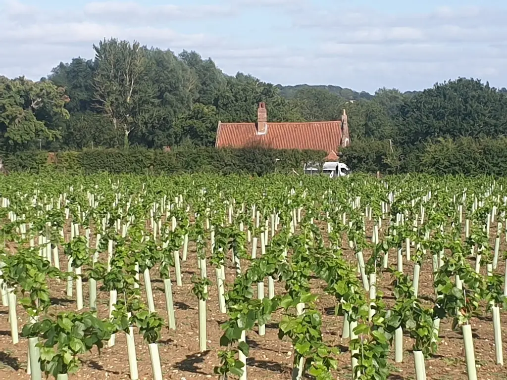 Geronimo Prosser_SugarBeat Eating House_Hethersett_Bewertung