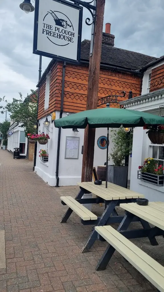 faye farmer_The Plough of Henfield_Henfield_review