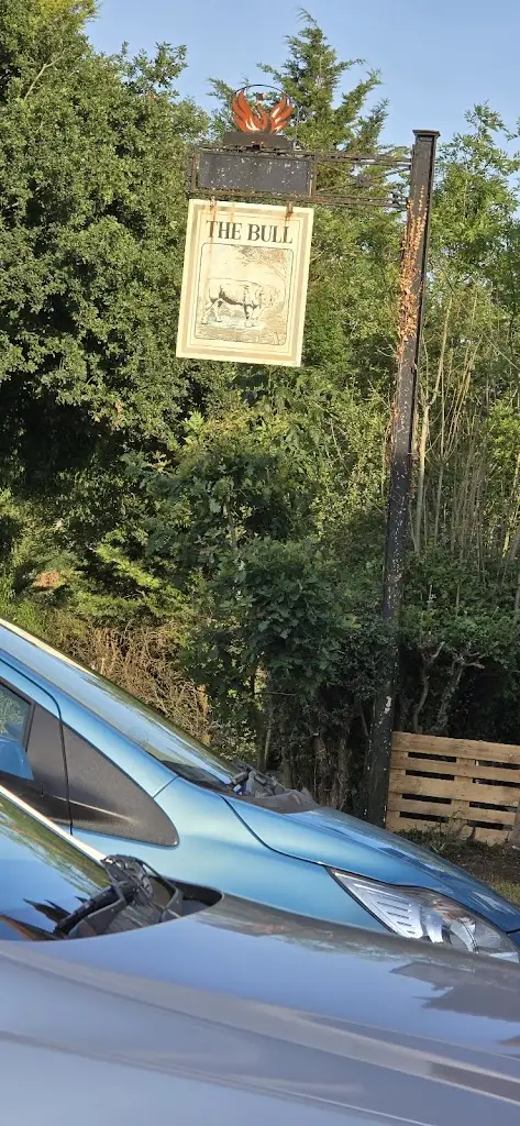 martin thomas_The Bull Inn_Henfield_review