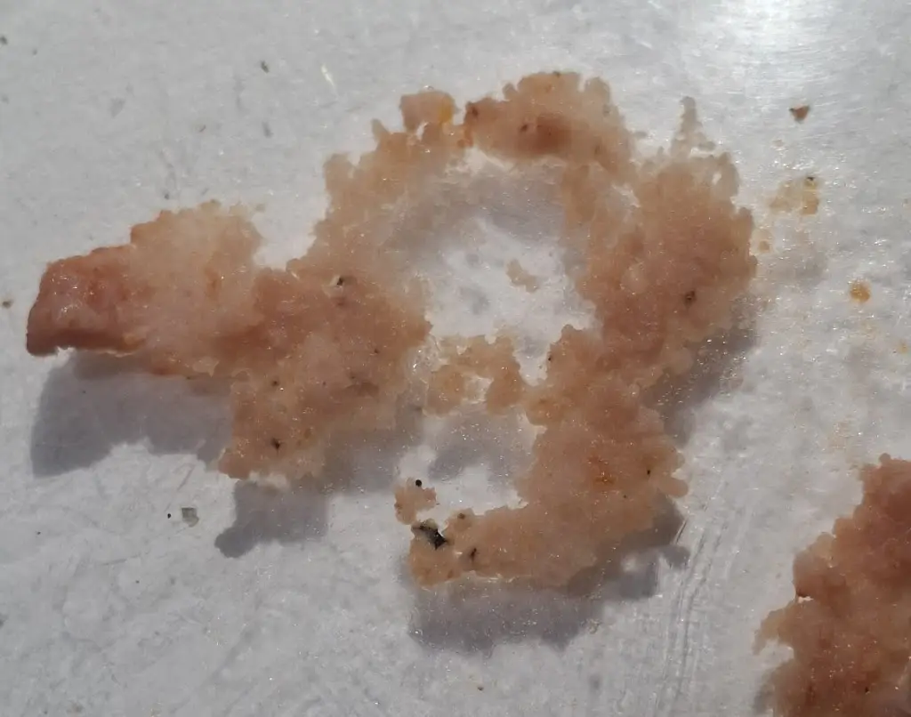 Amy Taylor_La Dolce Piazza_Henley in Arden_review