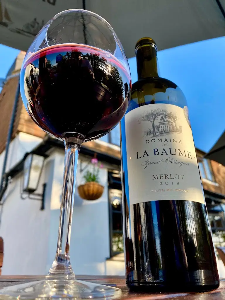 Menu_The Curious Cat_Herne Bay_image_8