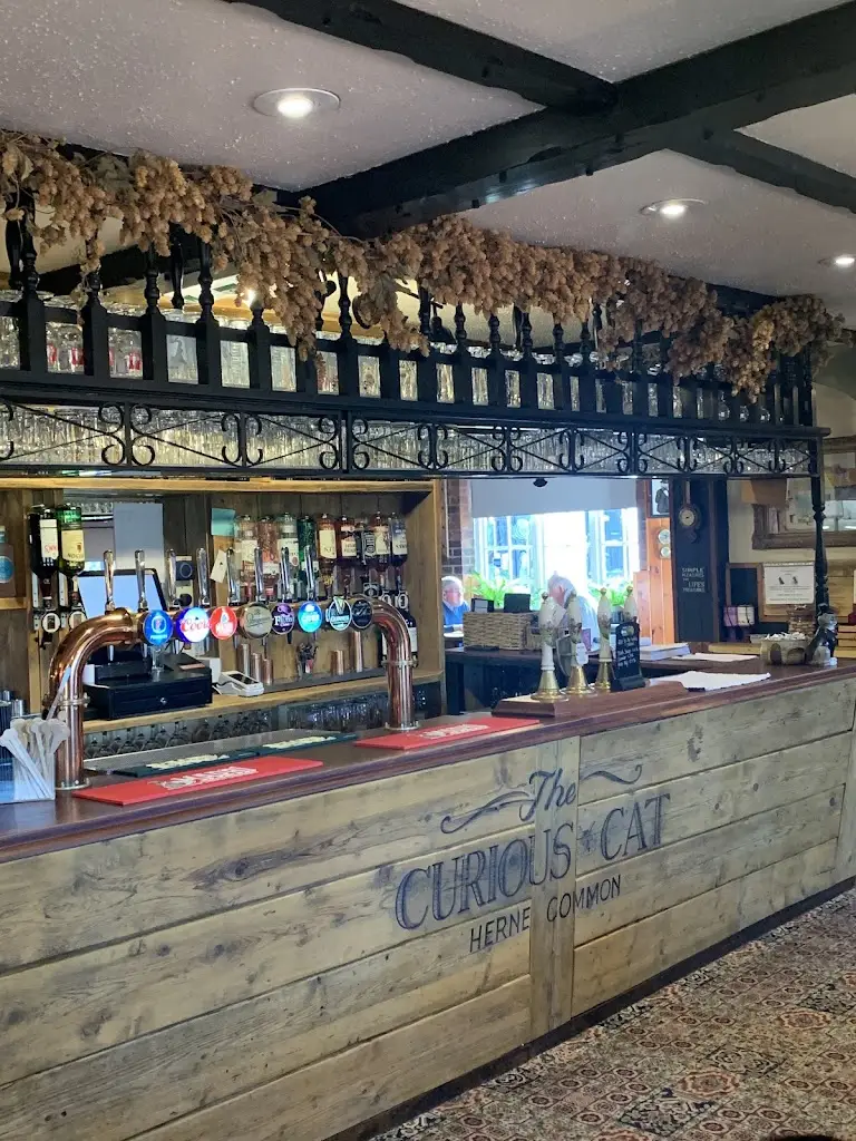 Angela Appleby_The Curious Cat_Herne Bay_review