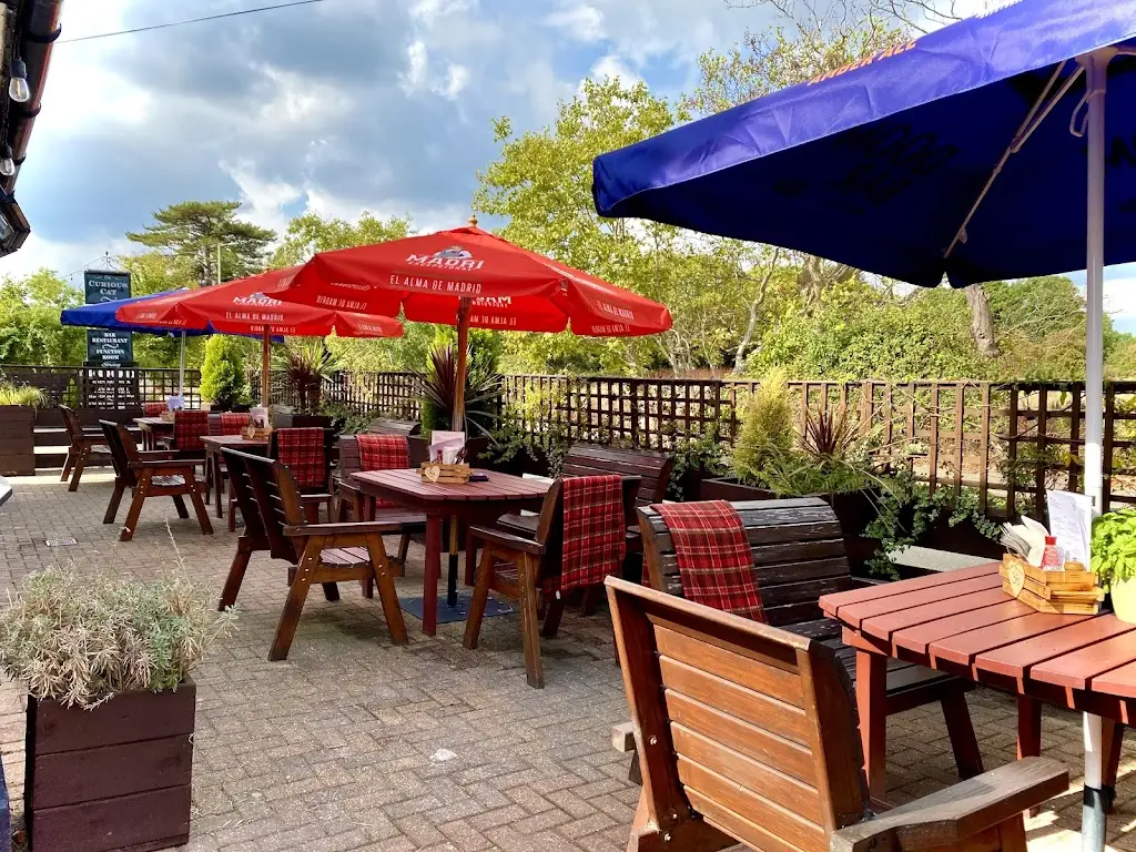 The Curious Cat restaurant in Herne Bay