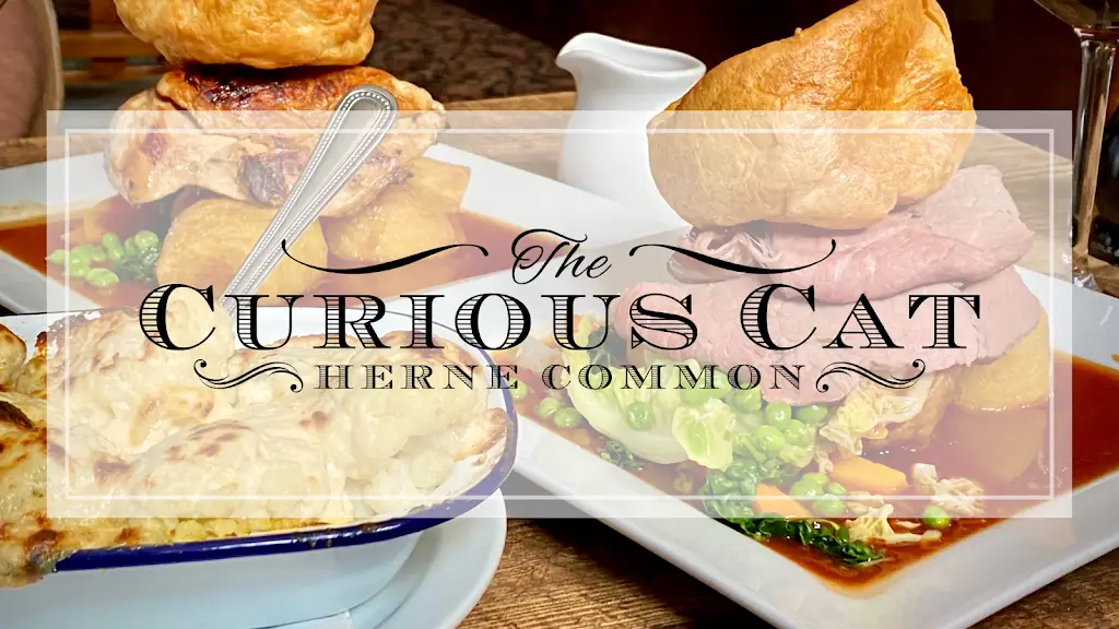 The Curious Cat_Herne Bay_slider_image_3