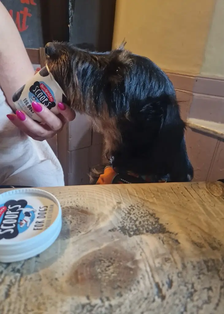 Tracy Supple_Chequers on the Green_High Halden_review