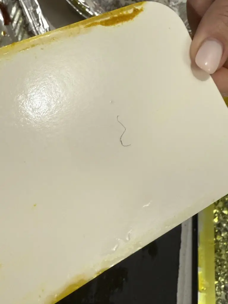 claire butler_Raja of Kent_High Halden_review