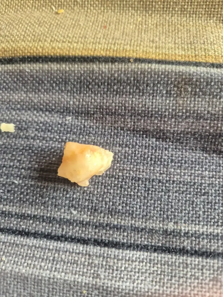 Sharon Bacon_The Ship Inn_Highley_recensione