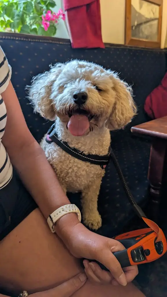 keith houghton_Tatham Bridge Inn_High Bentham_review