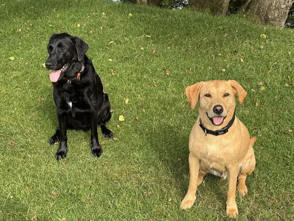 Neala Dobson_Punch Bowl Bentham_High Bentham_review