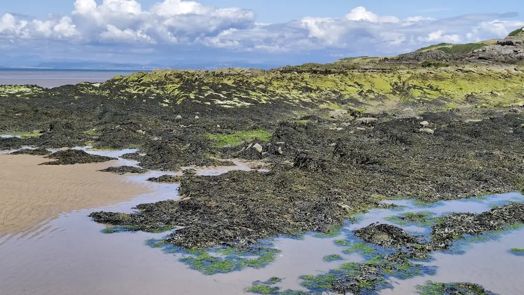 Lorraine Winson_Half Moon Bay Cafe_Heysham_reseña
