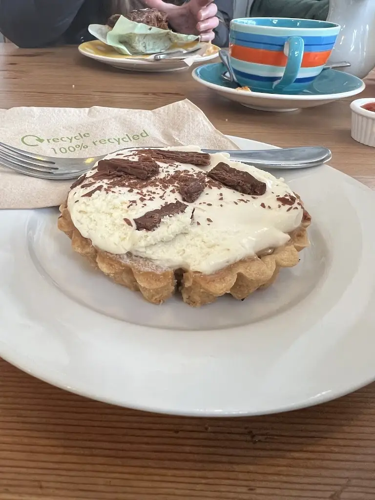 Cat Berry_Curiosity Corner Cafè_Heysham_review