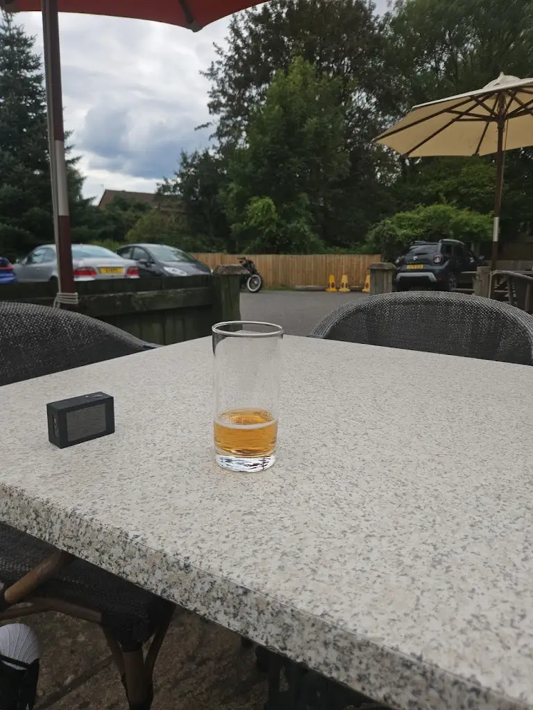 Nelio De gouveia_The Royal Oak_Holmwood_review