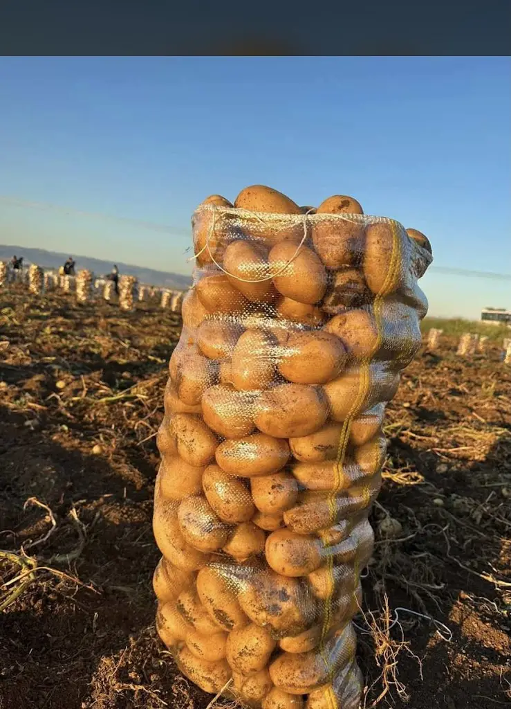 LOW STREET PIZZA_Holtby_slider_image_3