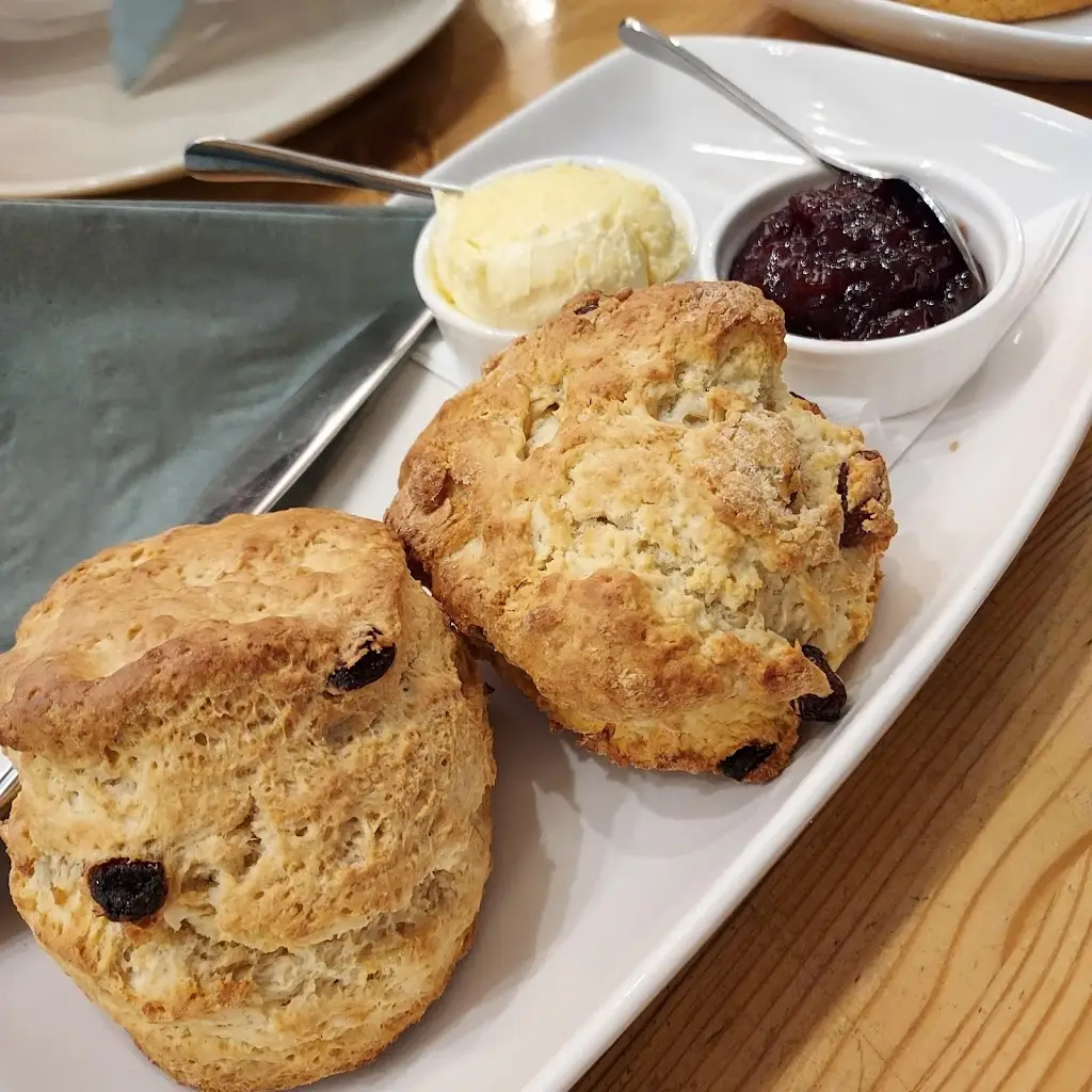 Blessed Manalad_Filter Through_Holsworthy_review