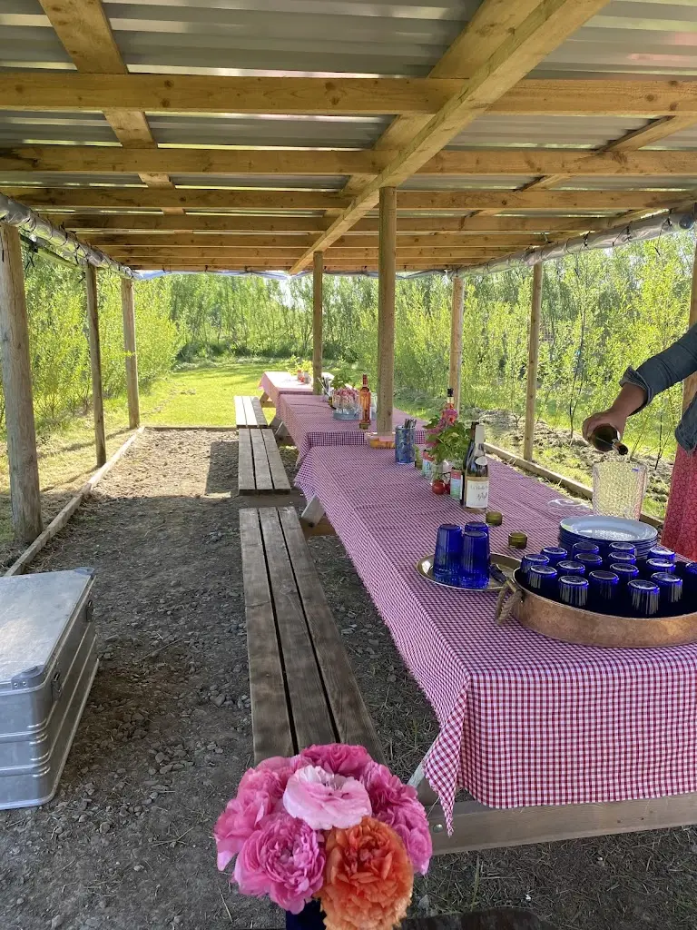 Pizza at Trigon farm_Holsworthy_slider_image_2