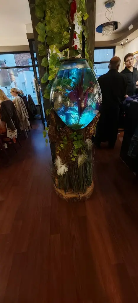 Ryan Waterhouse_Bengal Lancer_Hollym_review