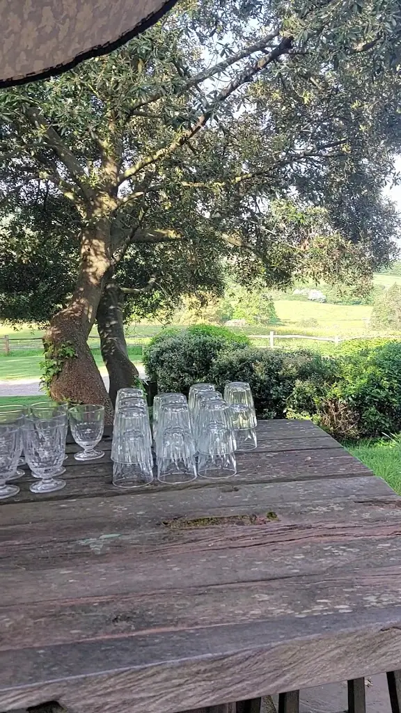 THE PIG-at Combe_Honiton_slider_image_2