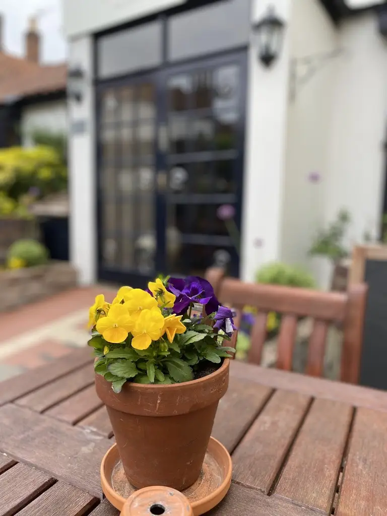 John Bridgen_The Feathers_Holt_review