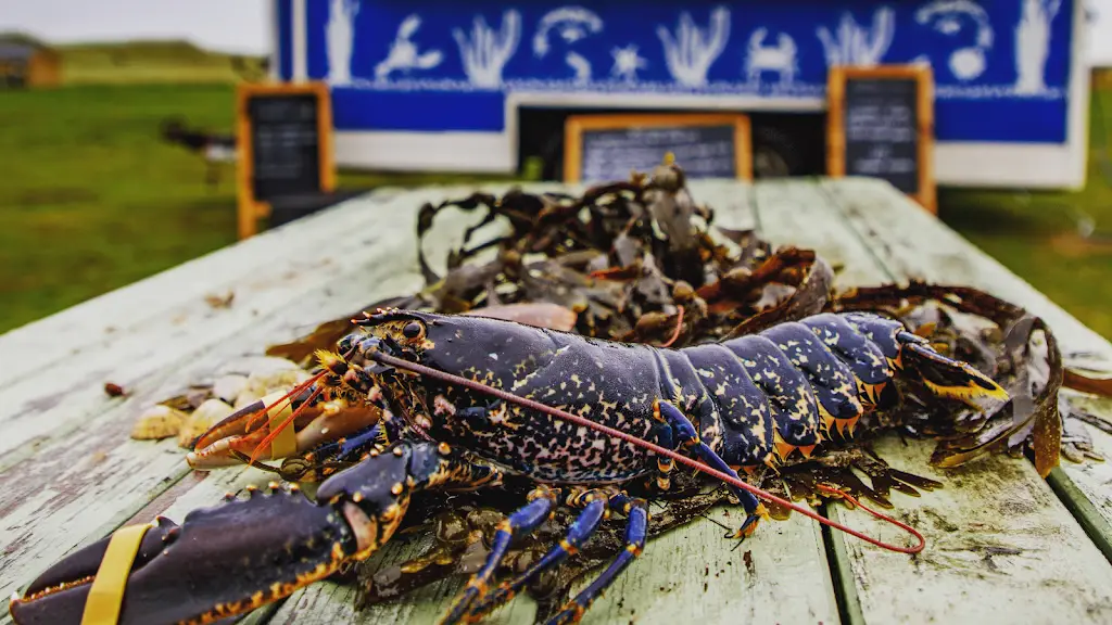 Creel & Reel Seafood Trailer_Bamburgh_slider_image_3