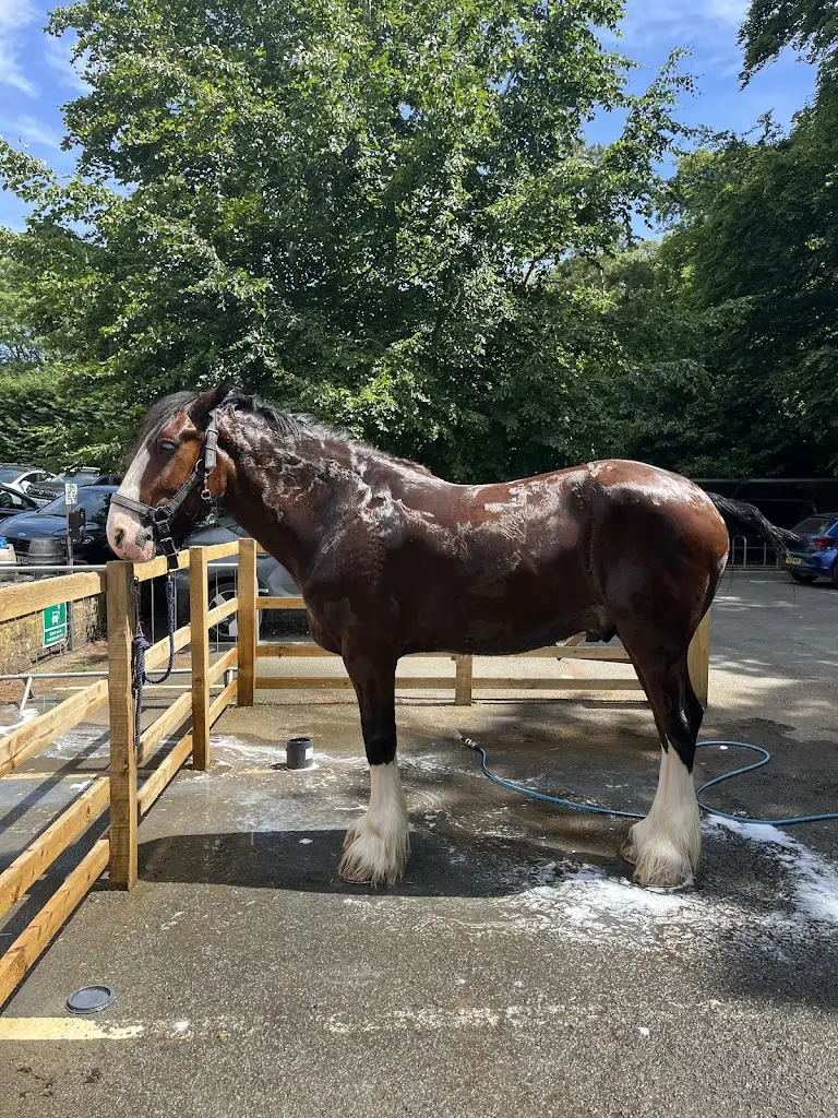 Debor Gregory_Hook Norton Brewery_Hook Norton_review