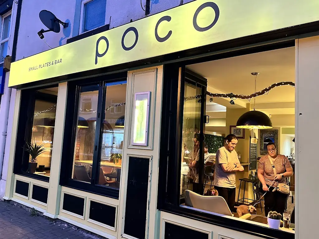 Alisa B._Poco_Hoole_review