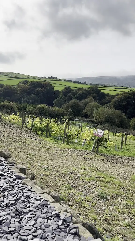 Holmfirth Vineyard, Accommodation & Restaurant by Sheveling Wine Estates_Holmfirth_slider_image_2