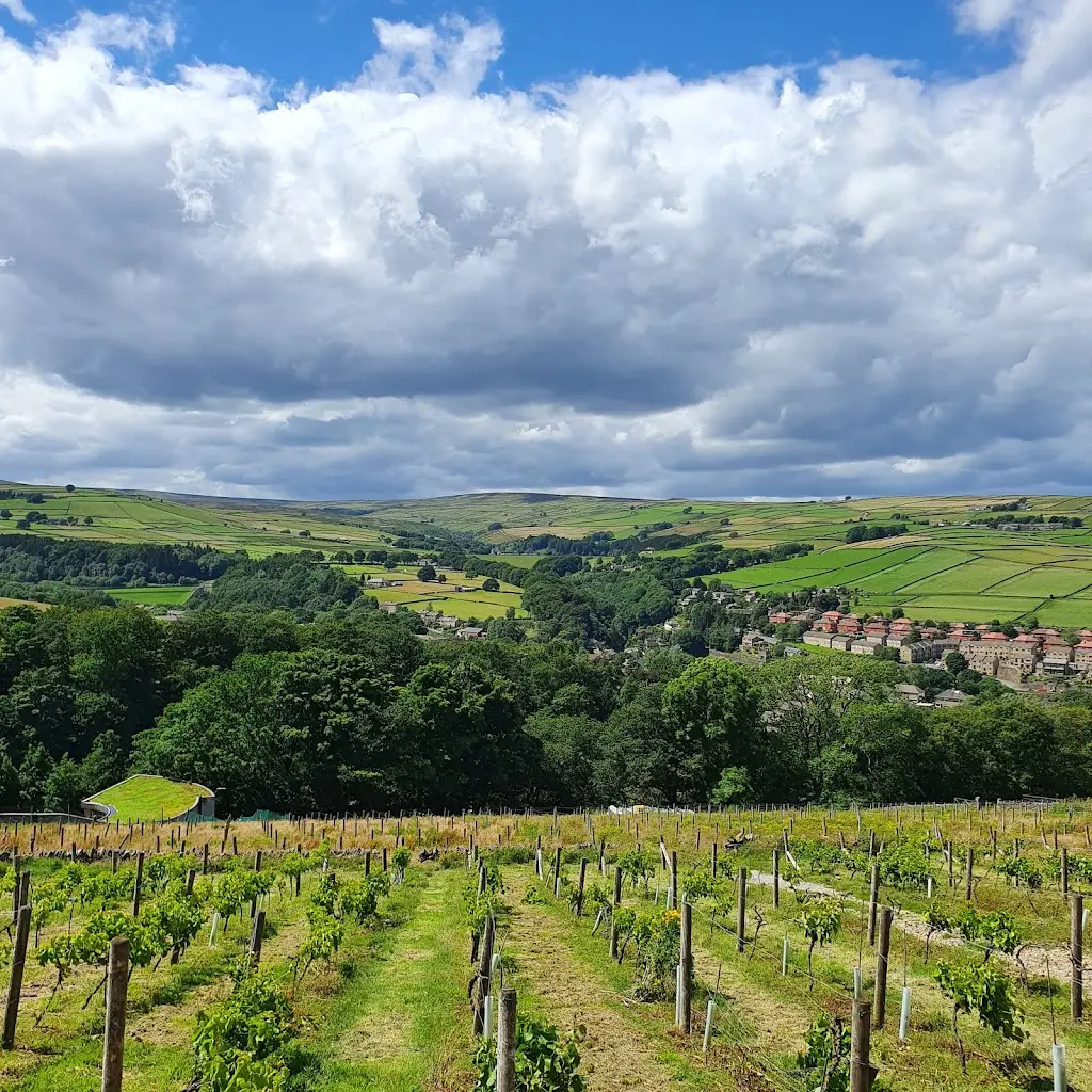 Holmfirth Vineyard, Accommodation & Restaurant by Sheveling Wine Estates_Holmfirth_slider_image_3