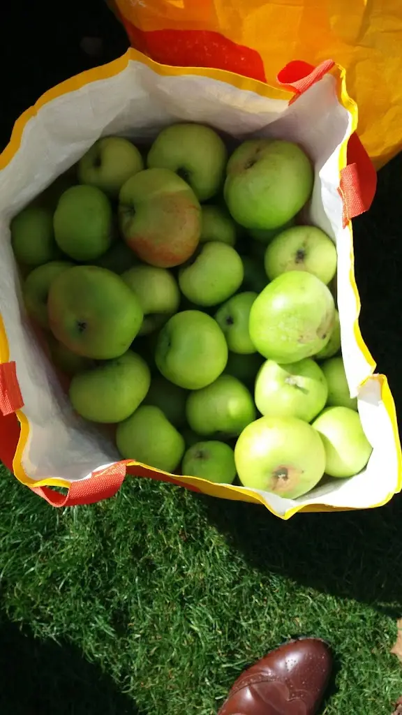 Menu_The Bull_Horton Kirby_image_5