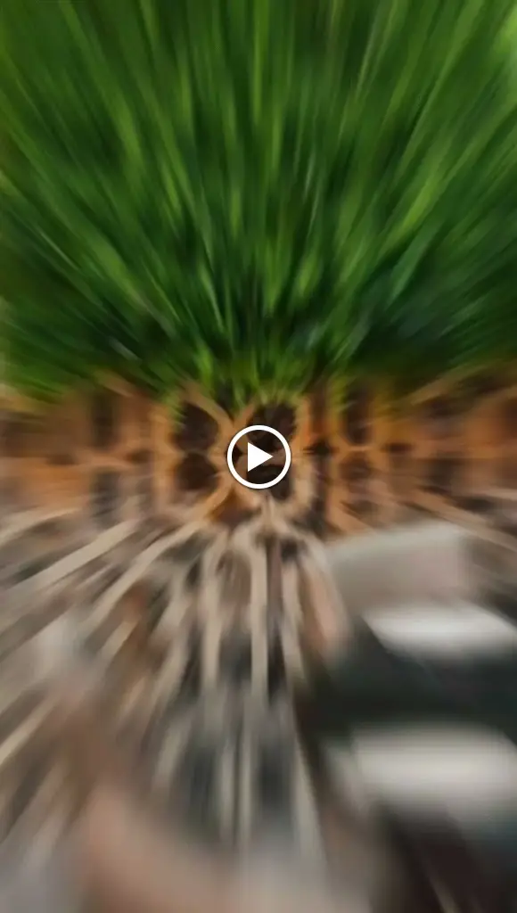 Kashmiri Aroma Horbury_Horbury_slider_image_2