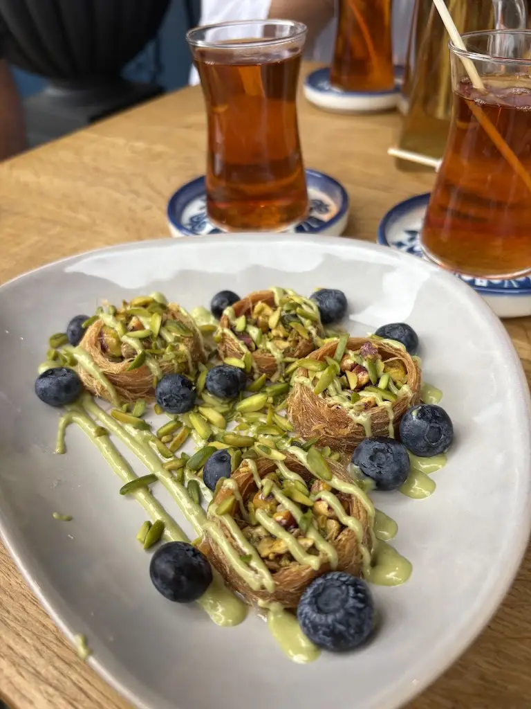 parisa varmazyari_Pardis Hove_Hove_review