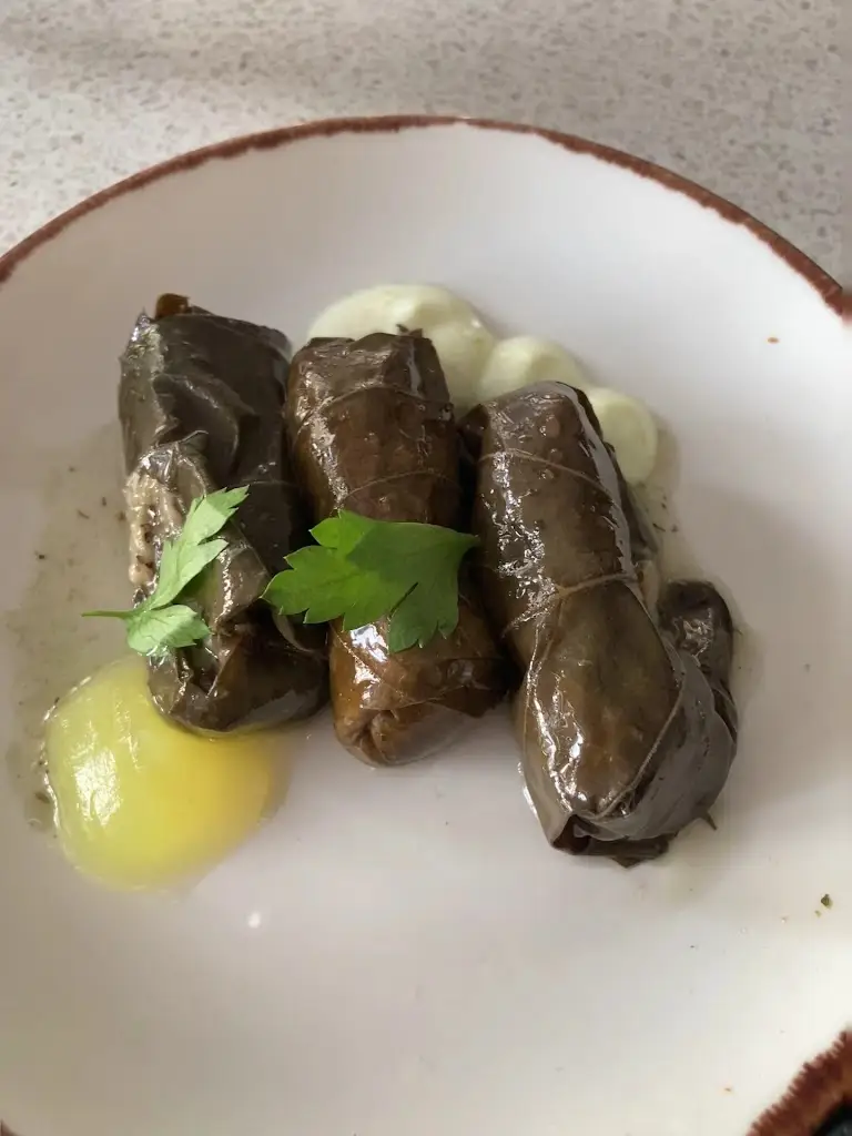 Christine Sadig_Nostos_Hove_review