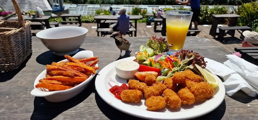 Juliet's Garden_Hugh Town_slider_image_3