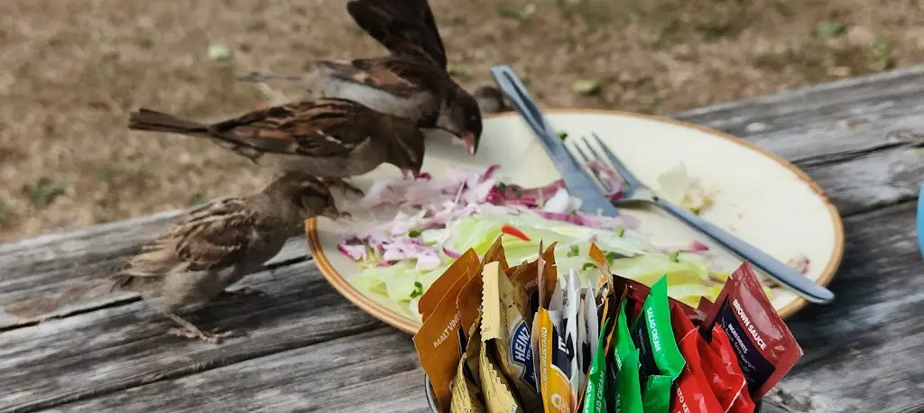 Andy Adamson_Carn Vean Cafe_Hugh Town_review