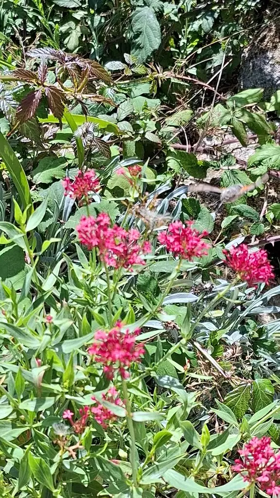 Paul Allen_Longstone Lodge and Cafe_Hugh Town_review