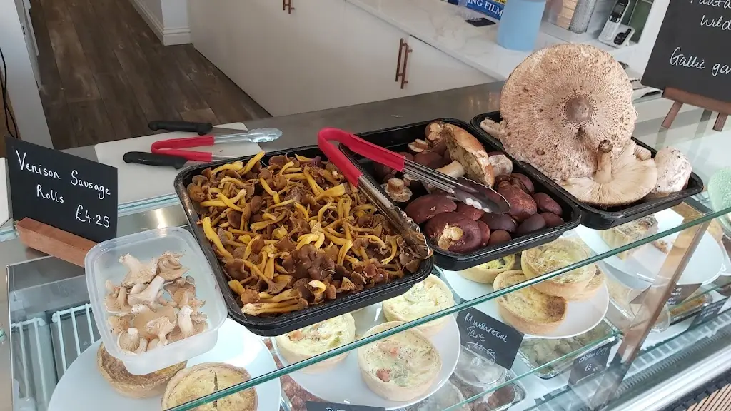 T Hartberg_The Funghi Club Hungerford_Hungerford_review