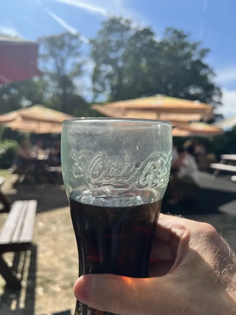 William Manning_The Green Man_Ingrave_recensione