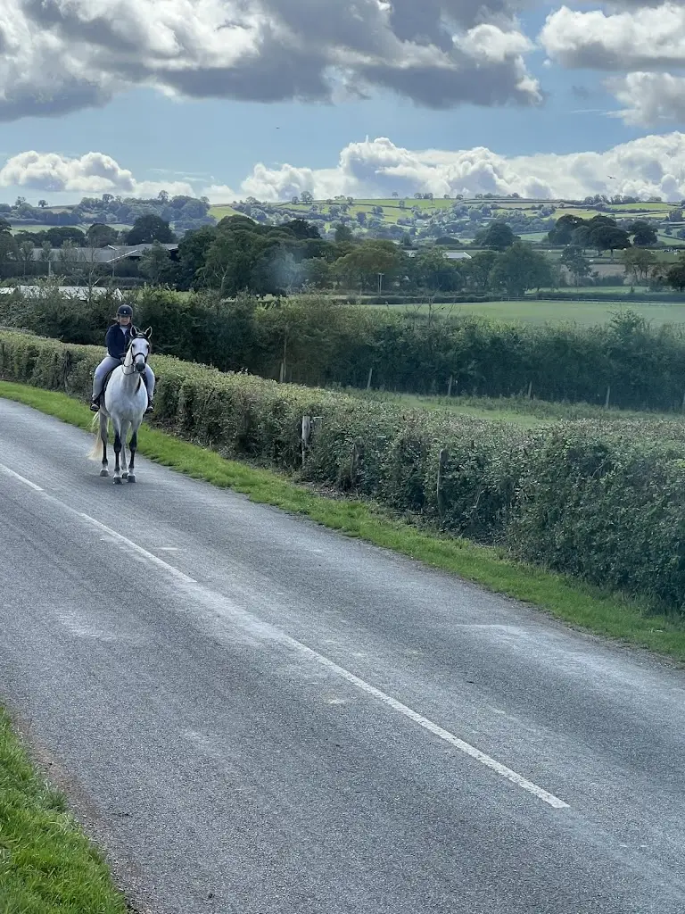 Kathleen Colley_The Flying Fish Pub & Restaurant_Ilminster_review