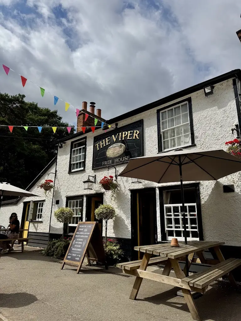 Mel Cornish_The Viper Mill Green_Ingatestone_avis