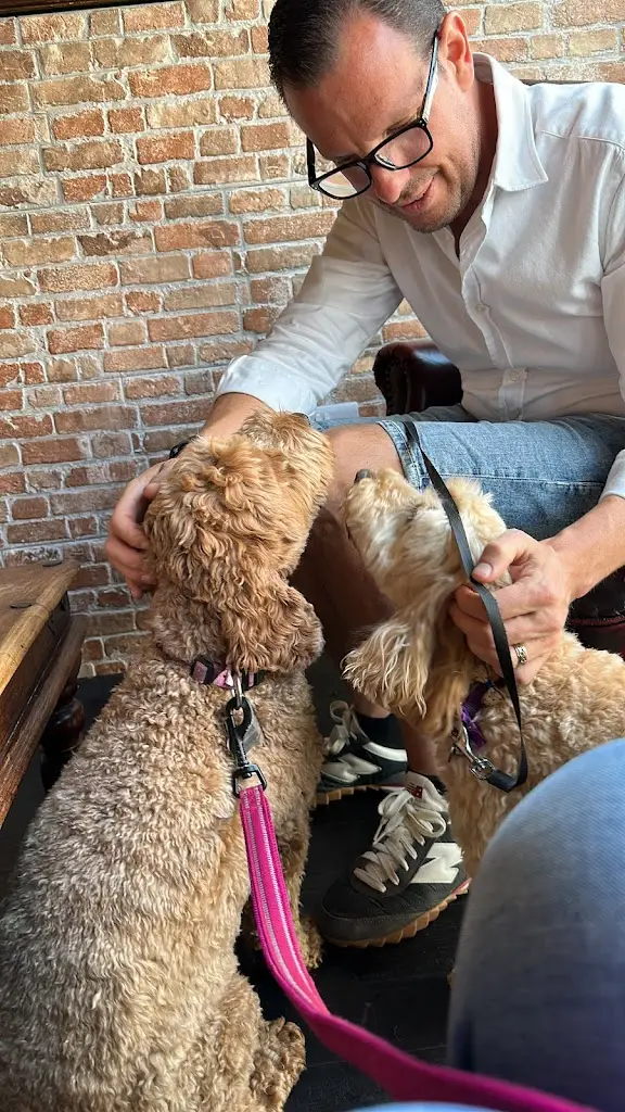 Julie Reeves_The Lounge Wine bar_Ingatestone_review