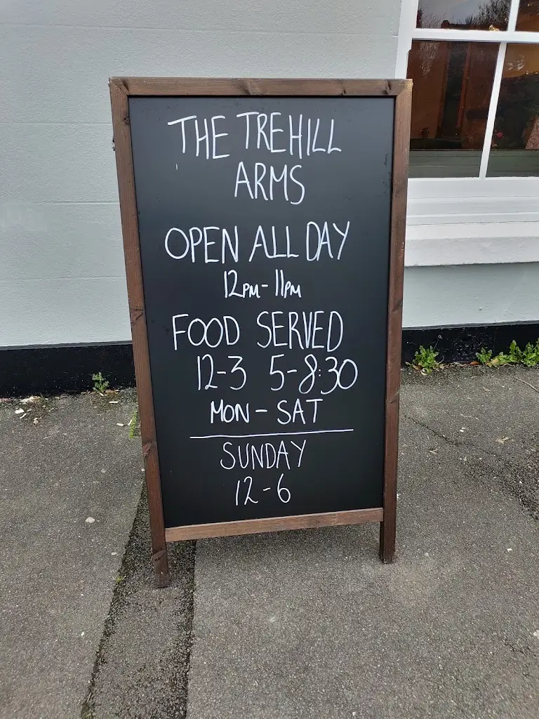 Menu_The Trehill Arms_Ivybridge_immagine_4