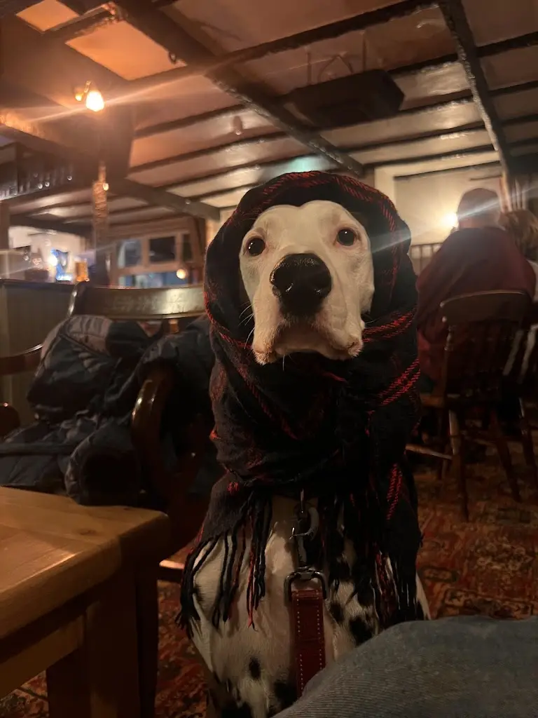 Ben_Imperial Inn_Ivybridge_review