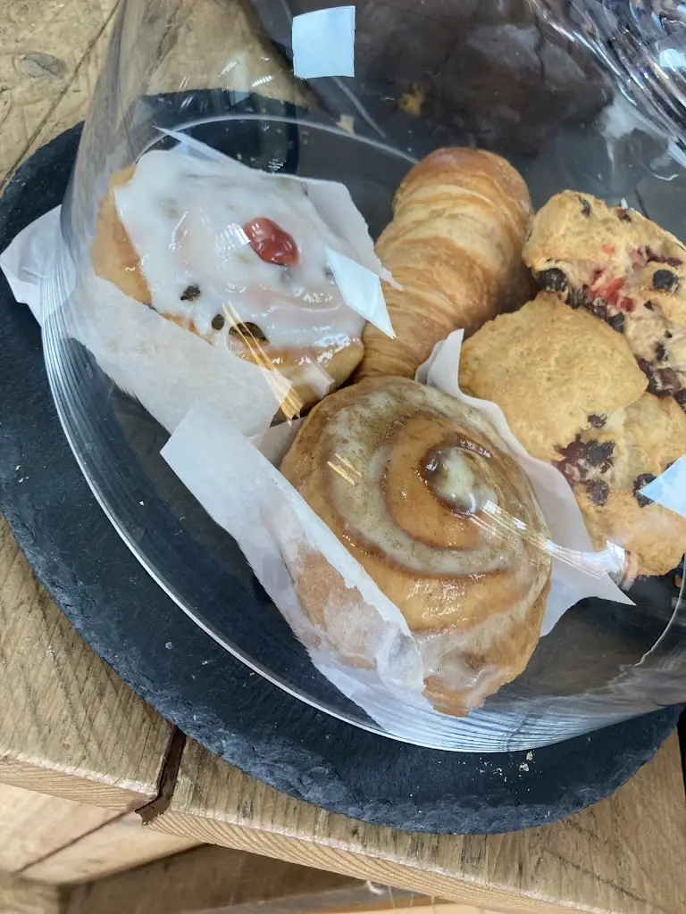 DBJACKODB_Citrus_Kelsall_review