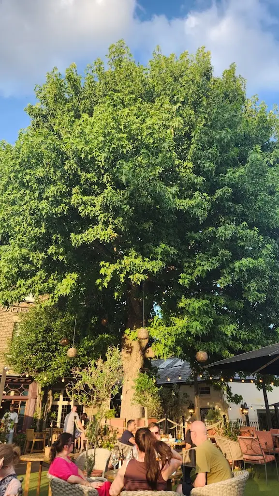 Ldn Bne_Coach & Horses_Isleworth_recensione